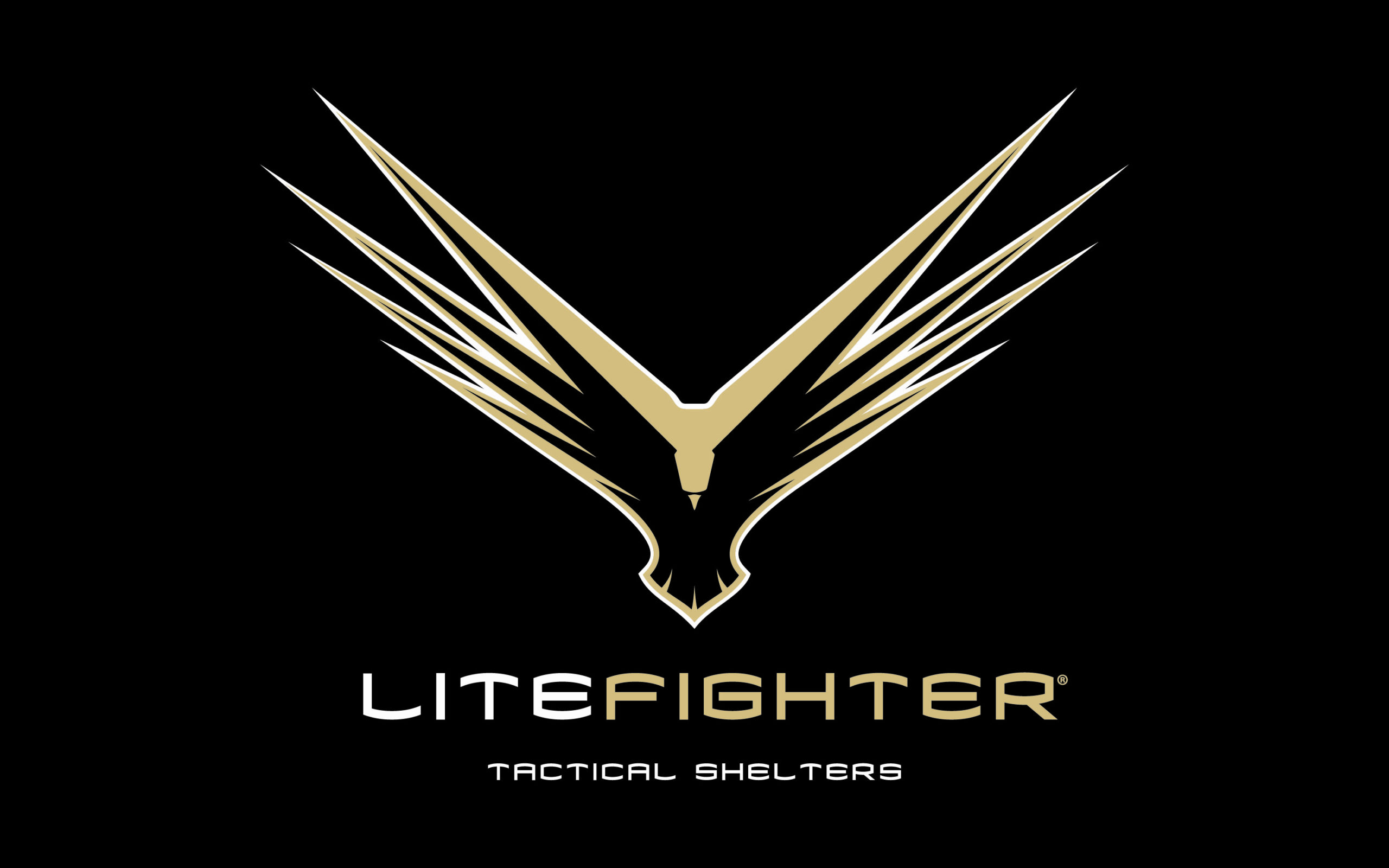 LiteFighter logo
